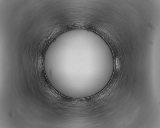 X0000115201107200911121836