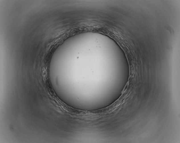 X0000115201109200911121836
