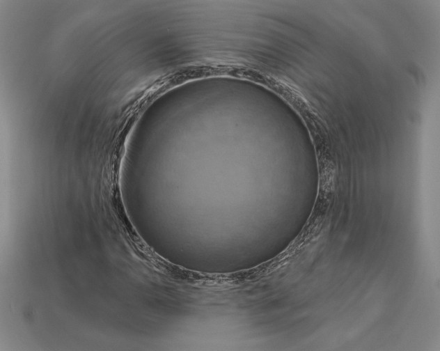 X0000115201110200911121836