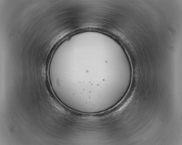 X0000115201113200911121836