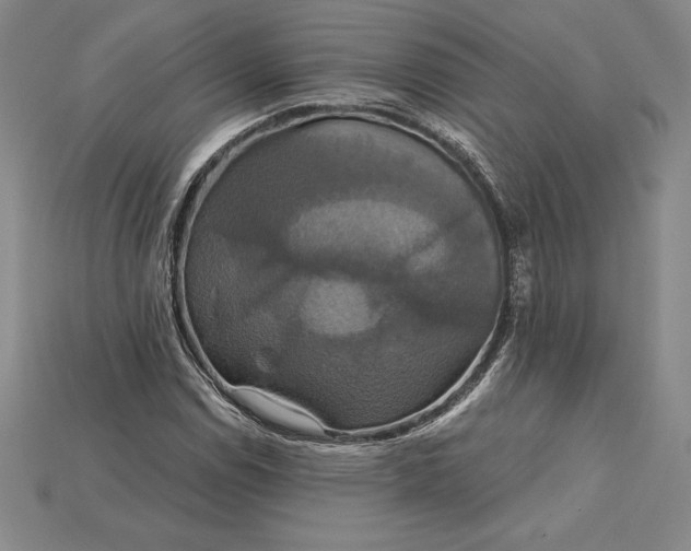 X0000115201114200911121836