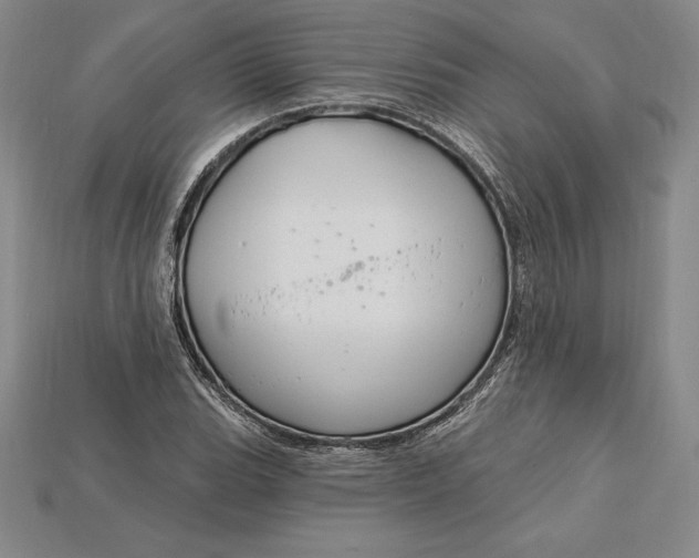 X0000115201119200911121836