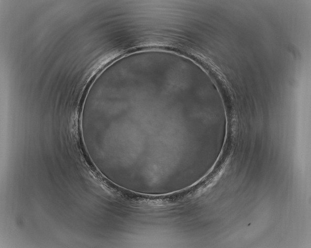 X0000115201121200911121836