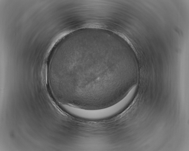 X0000115201123200911121836
