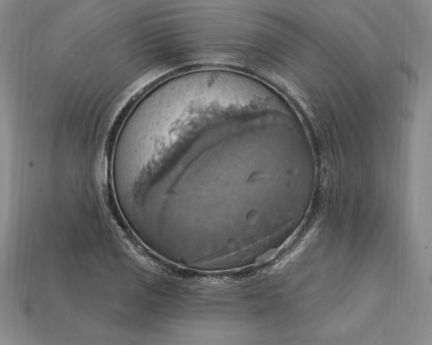 X0000115201125200911121836