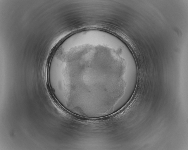 X0000115201127200911121836
