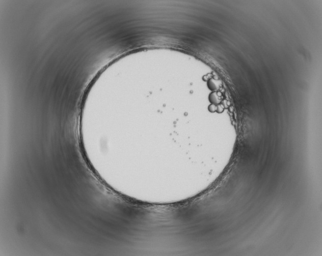 X0000115201130200911121836