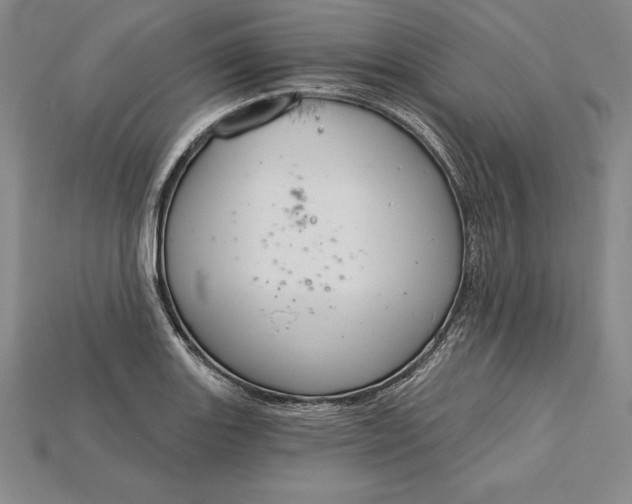 X0000115201131200911121836