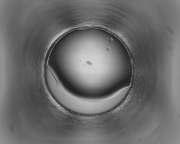 X0000115201134200911121836