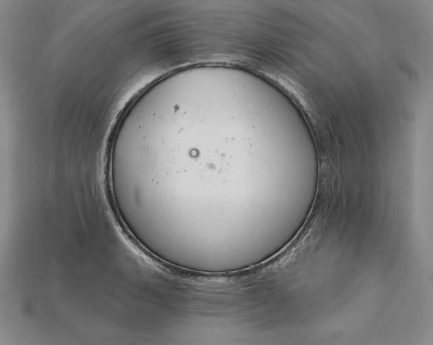 X0000115201135200911121836