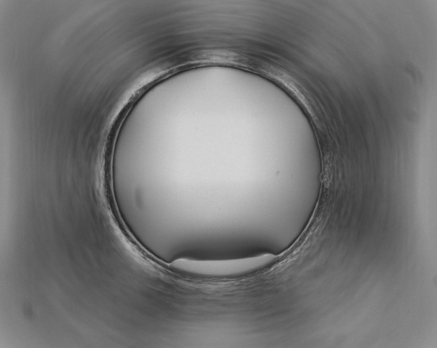 X0000115201139200911121836