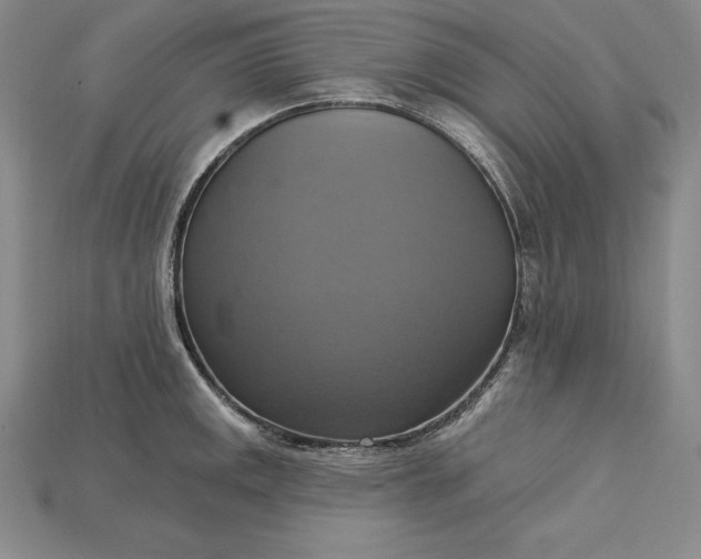 X0000115201141200911121836