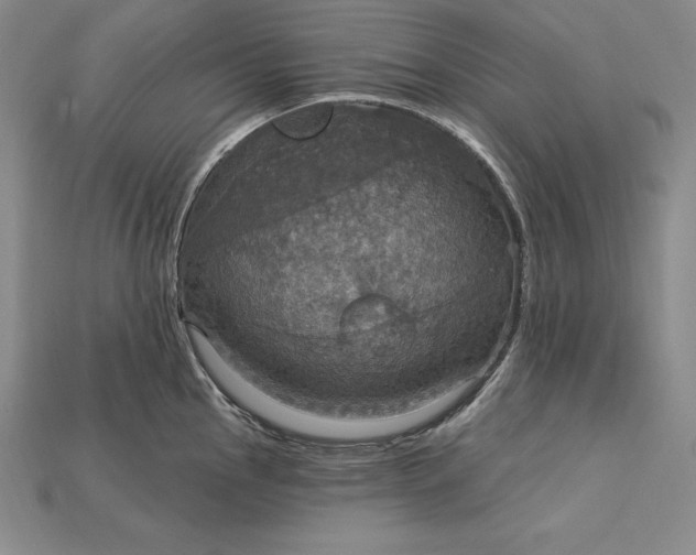 X0000115201145200911121837
