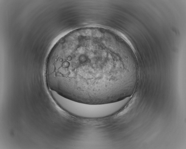X0000115201149200911121837