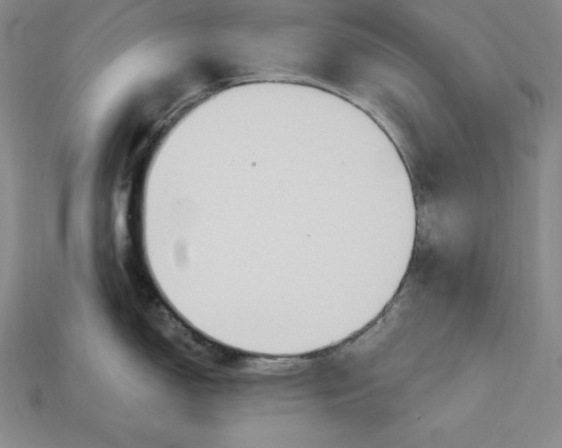 X0000115201150200911121837