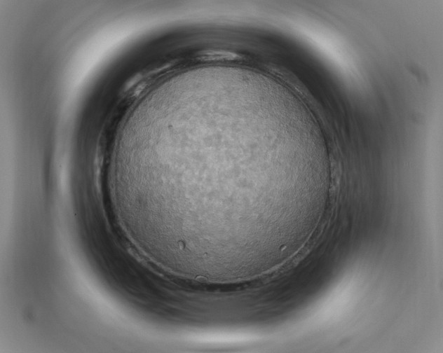 X0000115201151200911121837