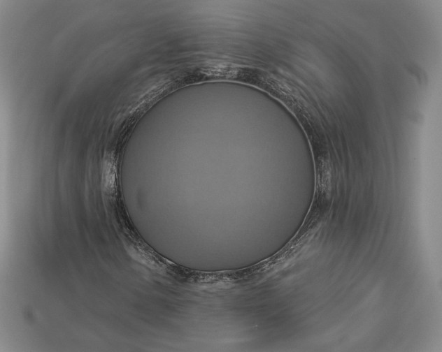 X0000115201154200911121836