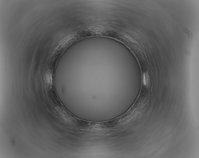 X0000115201155200911121836
