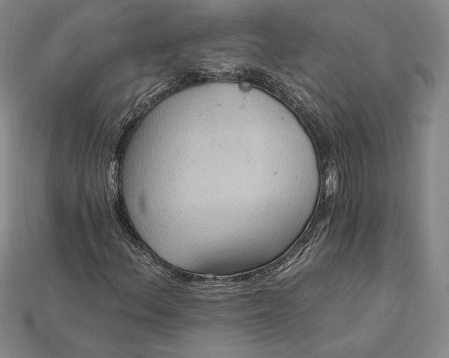 X0000115201156200911121836