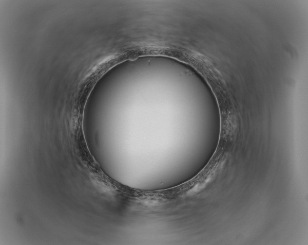 X0000115201157200911121836