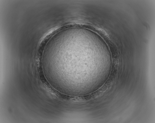 X0000115201159200911121836