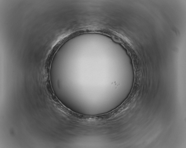 X0000115201160200911121836