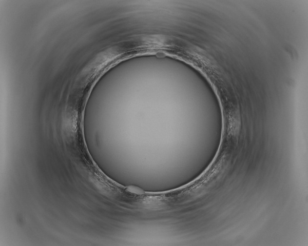 X0000115201161200911121836