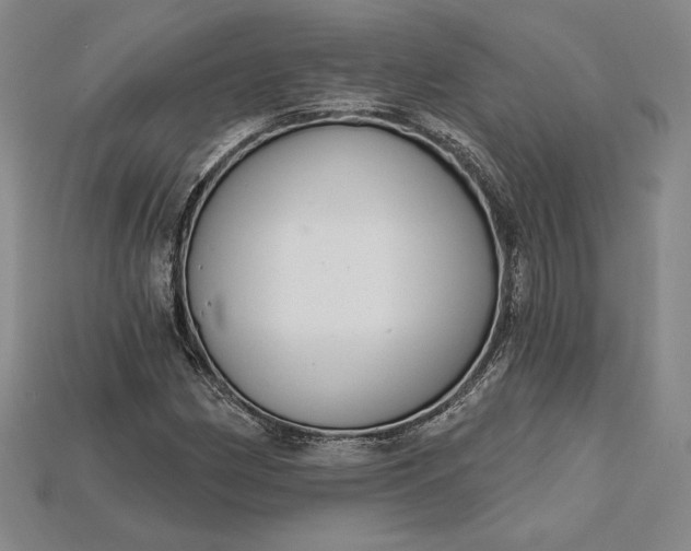 X0000115201162200911121836