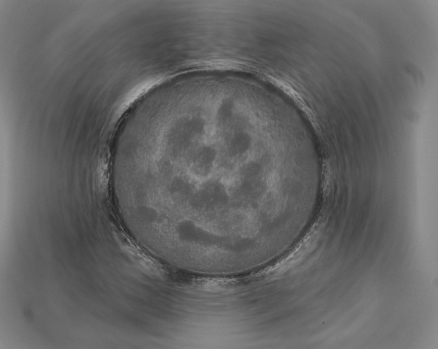 X0000115201163200911121836