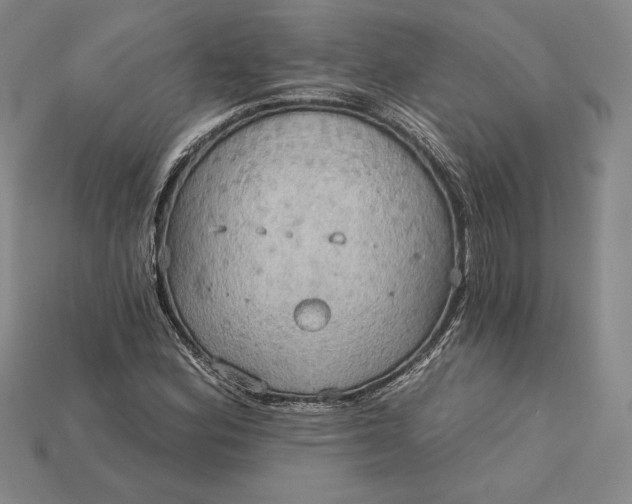 X0000115201164200911121836