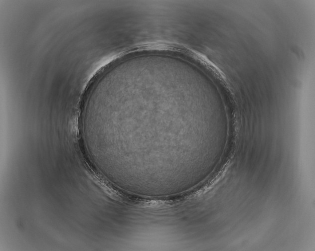 X0000115201166200911121836
