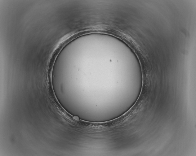 X0000115201168200911121836