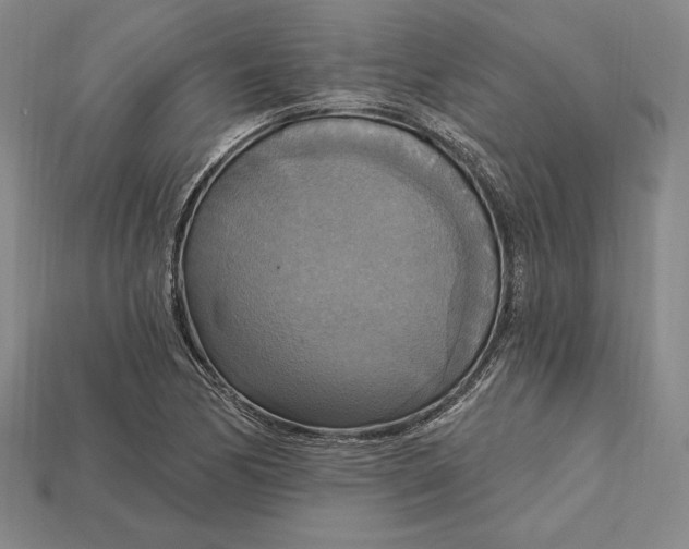 X0000115201170200911121836