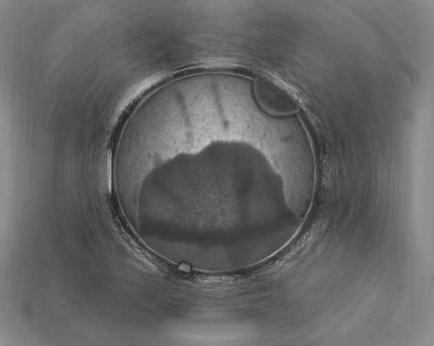 X0000115201171200911121836