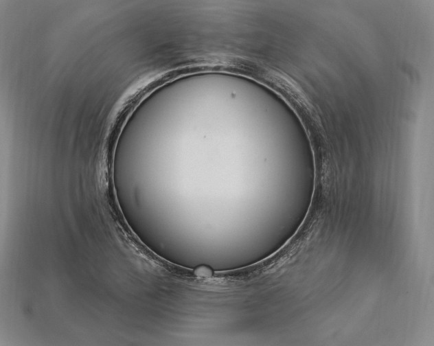 X0000115201172200911121836