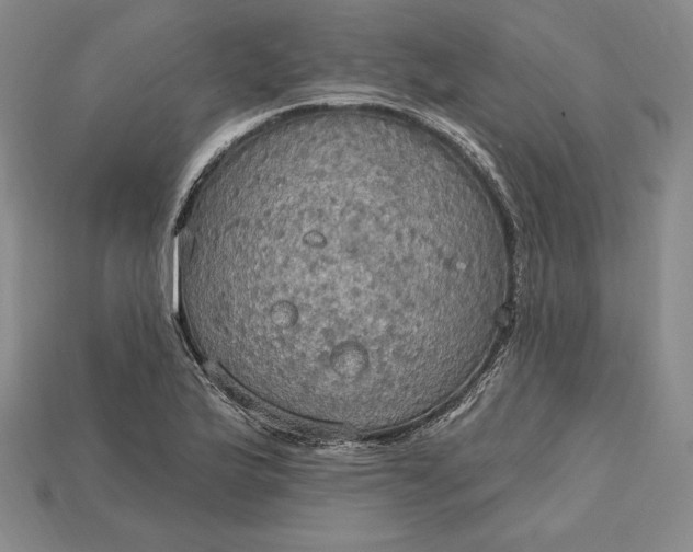 X0000115201175200911121836