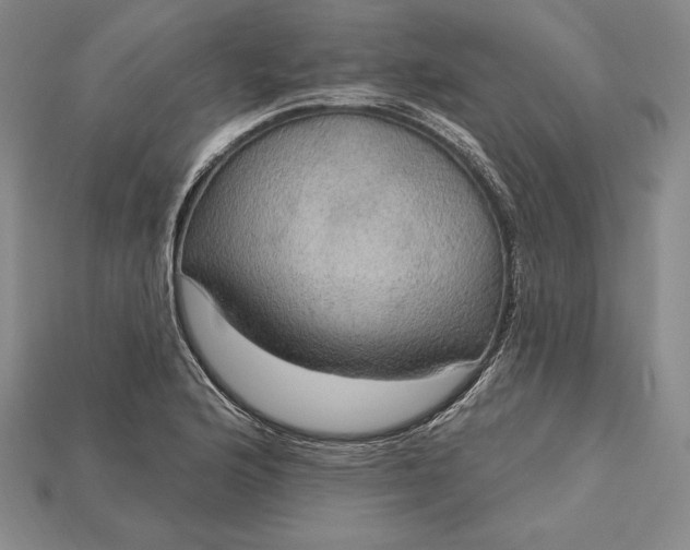 X0000115201176200911121836