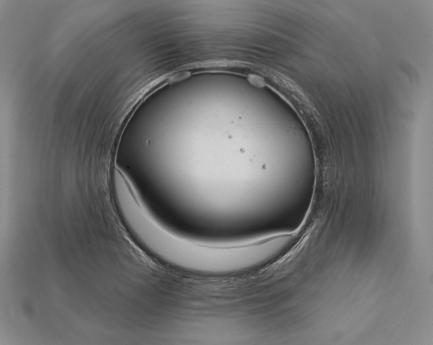 X0000115201177200911121836