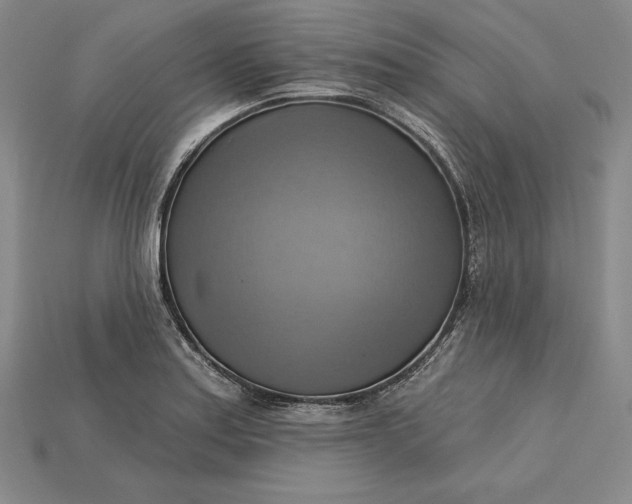 X0000115201179200911121836