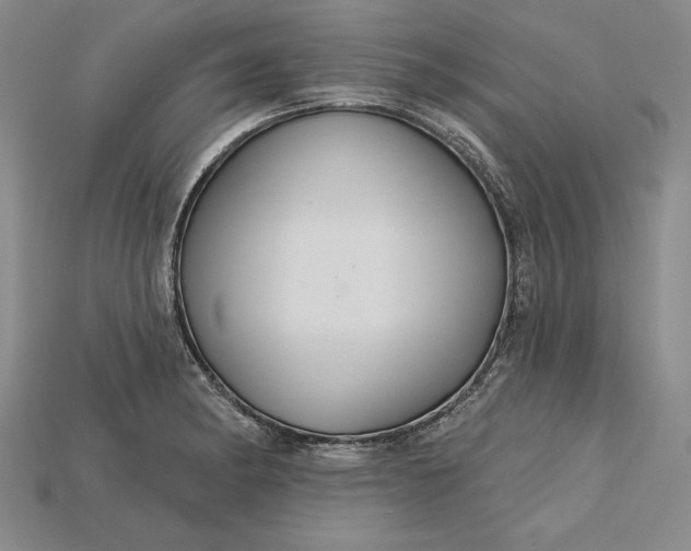 X0000115201182200911121836