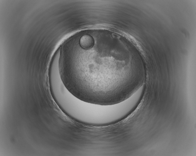 X0000115201184200911121836