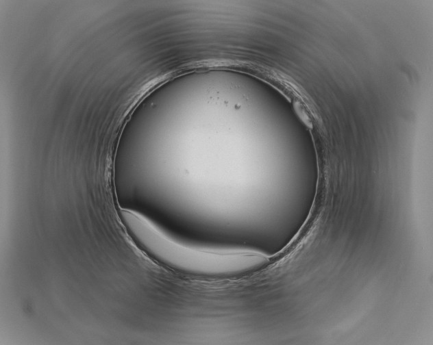 X0000115201185200911121836