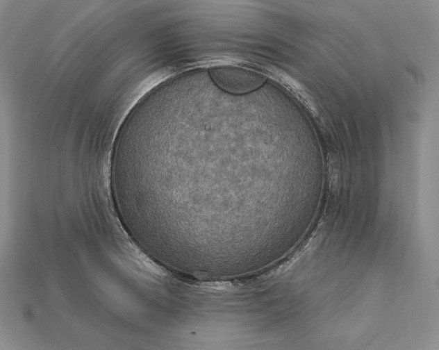 X0000115201186200911121836