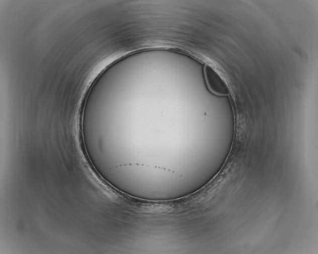 X0000115201187200911121836