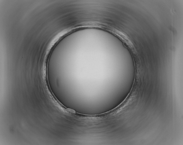 X0000115201188200911121836