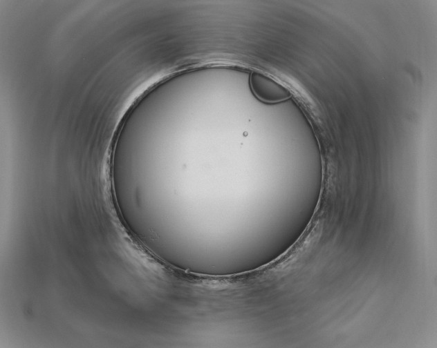 X0000115201190200911121836