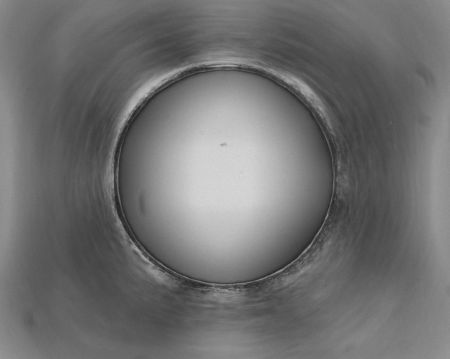 X0000115201191200911121836