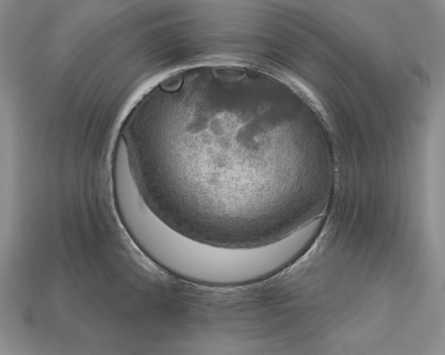 X0000115201192200911121836
