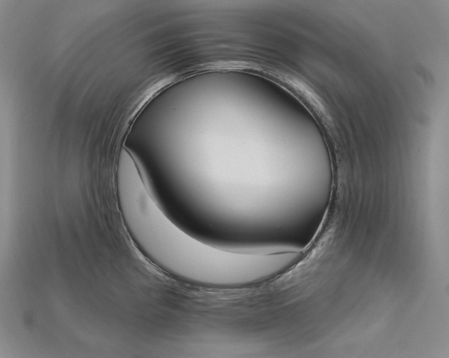 X0000115201193200911121836