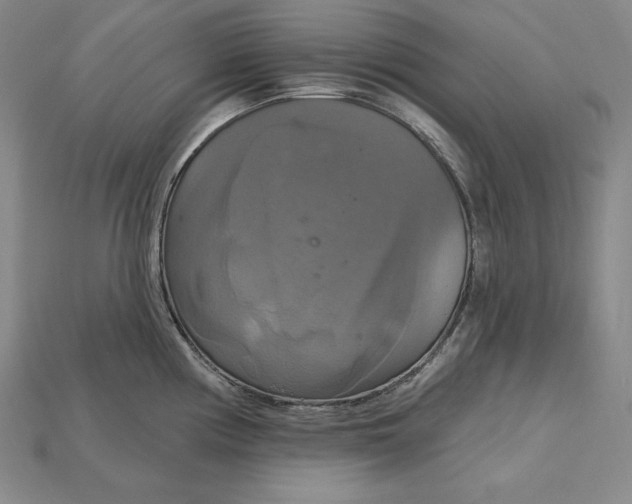 X0000115201194200911121836